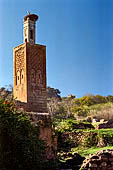 Rabat - La necropoli di Chellah, Minareto della moschea ricoperto da un nido di cicogna. 